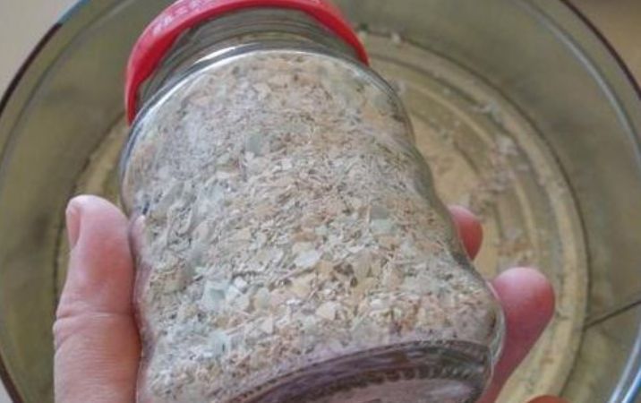 养君子兰“不要等”,盆里加“1物”,快速出箭开出“大花球”