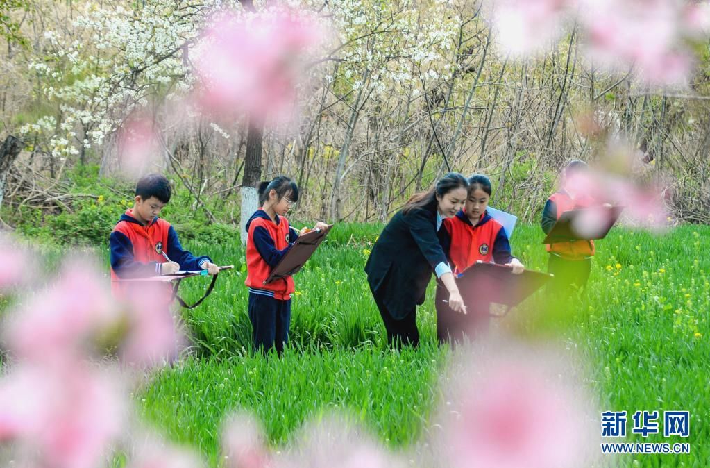 河北邯郸：“田间课堂”绘春光