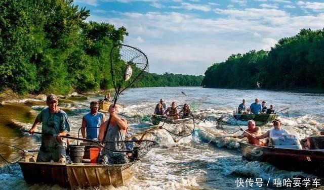 前因后果|亚洲鲤鱼“壮如牛”,在美国为何屡禁不止,有什么前因后果!