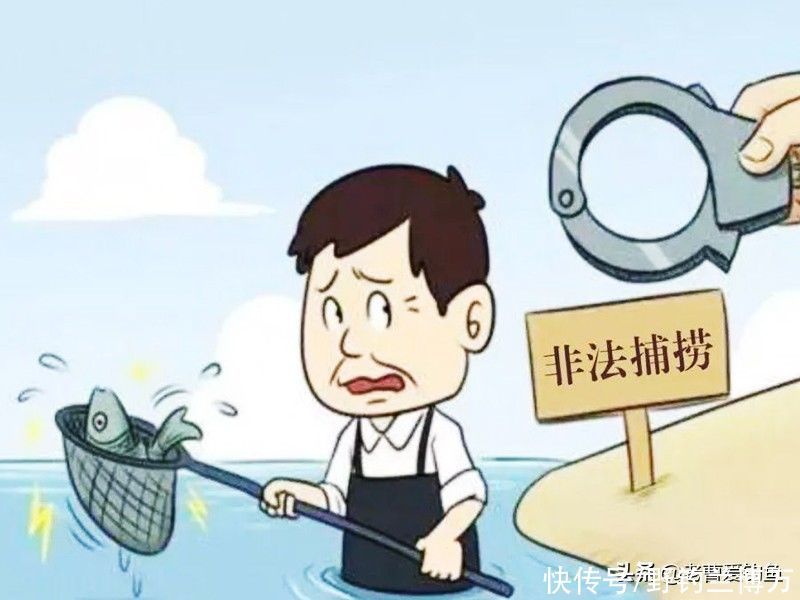 非法捕捞|6条小鱼“换来”取保候审,涉嫌非法捕捞!钓友要引以为戒