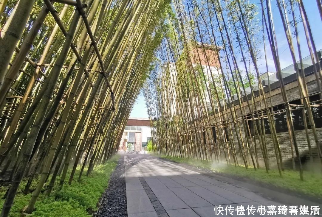 知识|房产证的重要性，你必须知道！丨买房涨知识