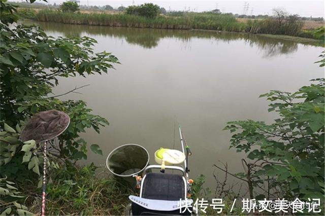 活水|夏季钓鱼困难多,5种天气别出门,2种钓位不下竿,不然10有9空