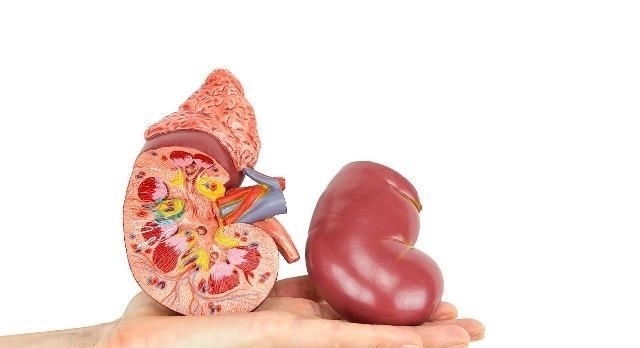 感冒7天后查出尿毒症?肾病的3个早期信号,或许