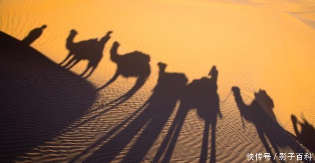 圣经历史丨学者们研究圣经|圣经历史丨学者们研究圣经一千多年,却无一人读懂整本圣经!