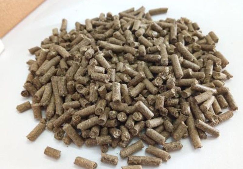 从不外传的饵料配方,搭配简单成本低,助你爽钓大鱼