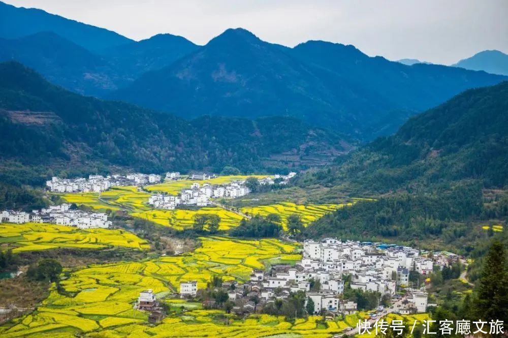 淋一场烟雨，遇一场花事，9个三月花海刷屏的地方