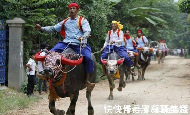 锯子$柬埔寨独特砍树方式,不靠锯子全靠什么?网友:太少见了!