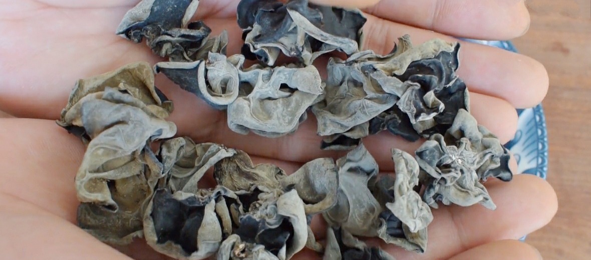 泡木耳时，直接加水就错了！厨师长教你一招，木耳3分钟就能泡软