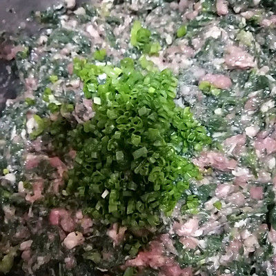 荠菜肉馅饺子馄饨