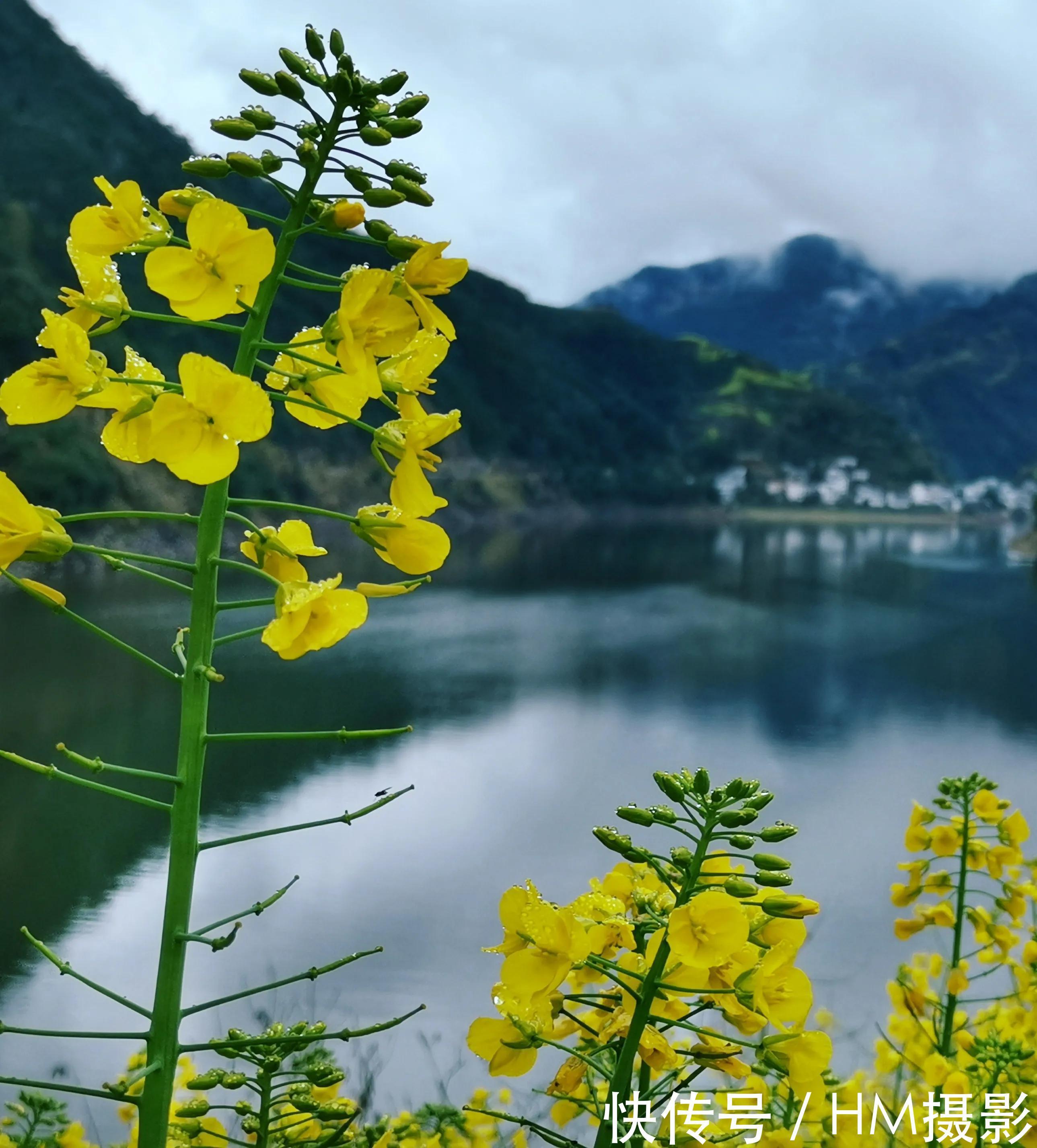 玩了一把500公里皖浙公路旅行，9天8晚三条天路全程无门票