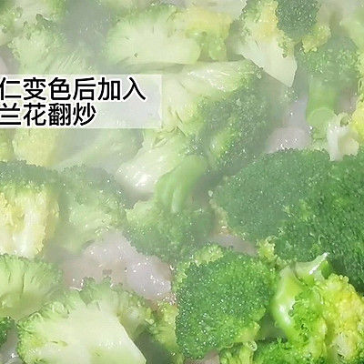 虾仁|西兰花炒虾仁