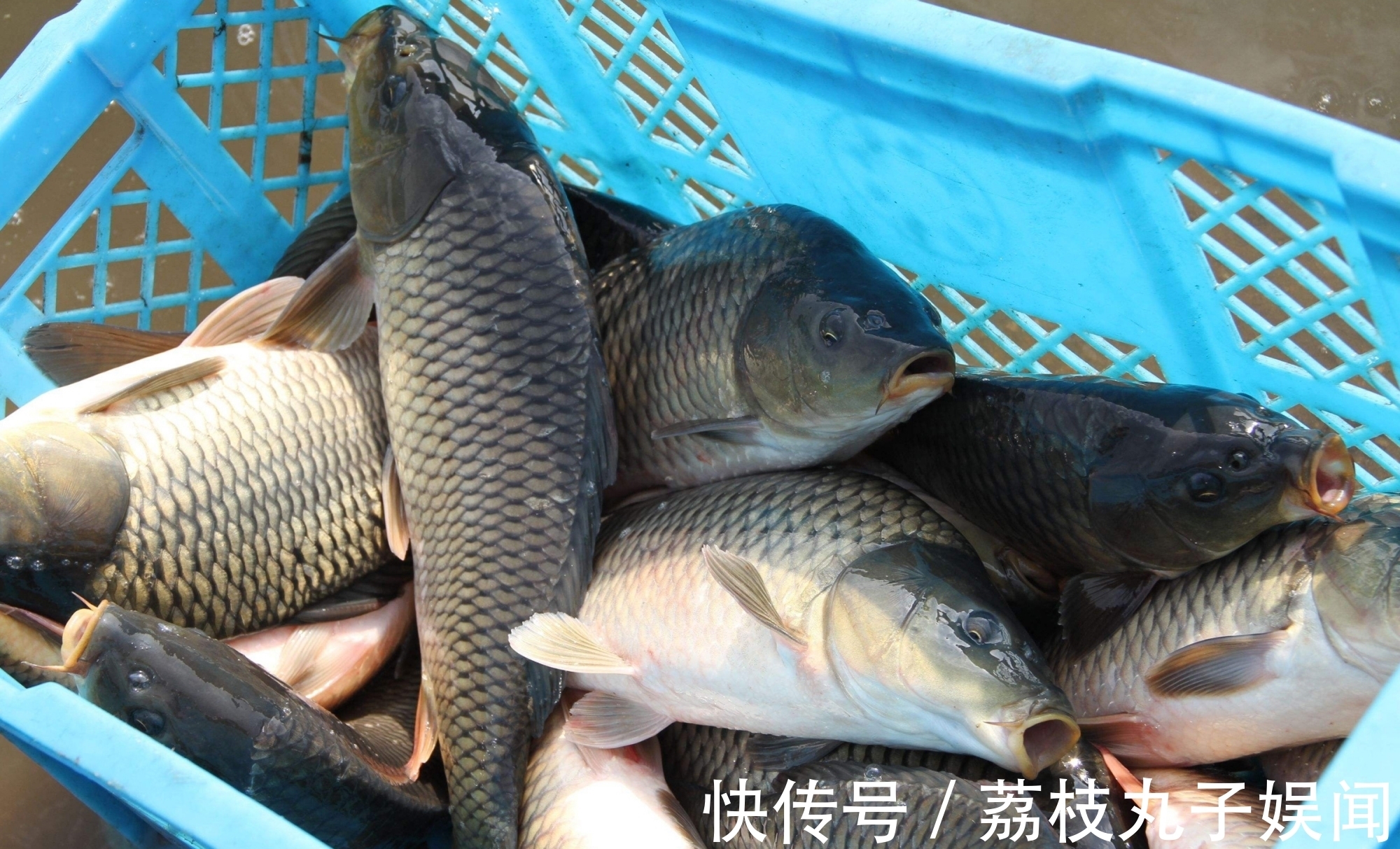 冬季找鱼窝的2大策略,有鱼群活动的地方,一眼就能看出来