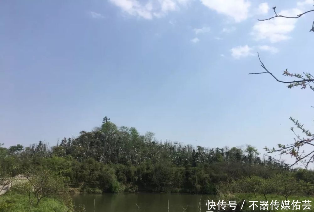 “古镇｜湖州德清一日游”新市古镇和下渚湖