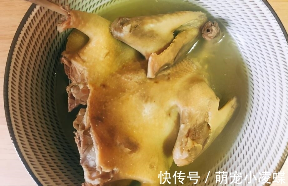 一鸽胜九鸡,冬日炖一碗鸽子汤,汤鲜肉嫩不腥,这样做营养更滋补