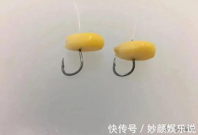 伊势尼|玉米如何挂钩命中率更高?挂钩方法并不重要,鱼钩才是重点