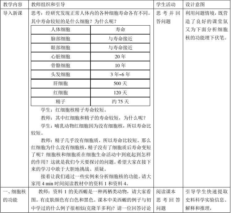 高中生物教案模板