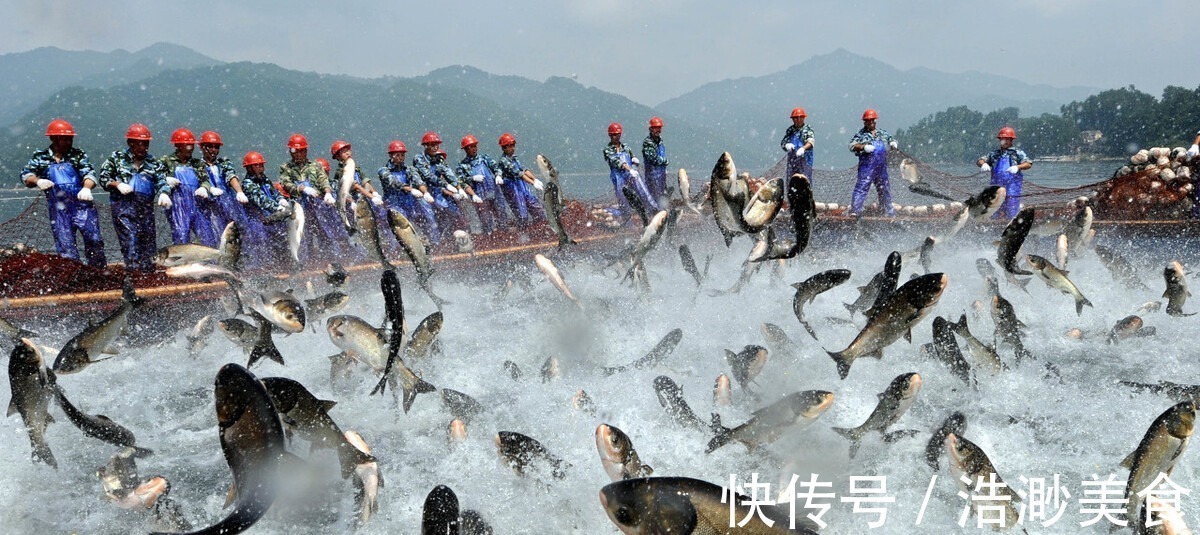 小技巧|吃鱼时,用筷子夹3个部位的人,是行家,教你学会小技巧