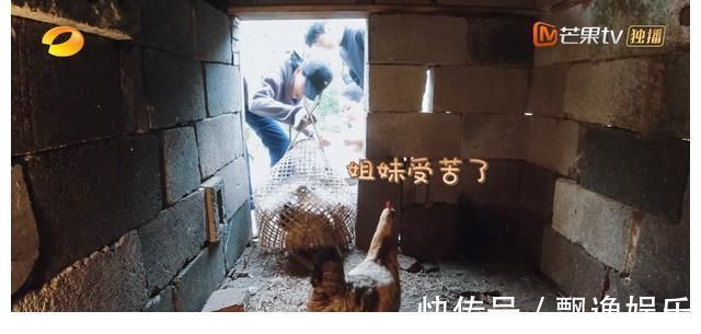 李雪琴|張子楓的真實：融不進去就玩自己的，管你是那英還是梁靜