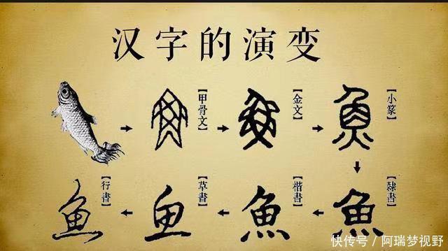 内蒙古大学@外国断崖发现“神秘汉字”,中国专家译出220个字:总算找到了!