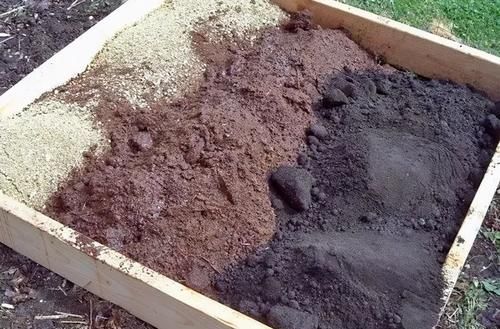 养花易出问题的地方真多！肥水土光，哪一个细节都不能遗漏