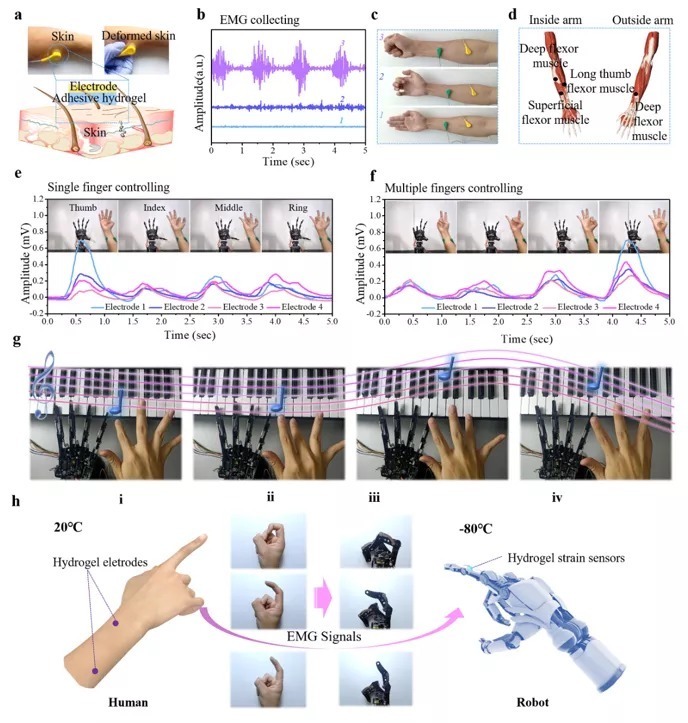 2026年智能运动手表对比评测:KeepMK体育 Pilot 1、Garmin Forerunner 245、Apple Watch SE、华为Watch GT 3哪款更适合你?