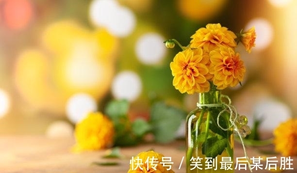 生肖牛|三天后，时间煮雨，姻缘重连，彻夜难眠，各自安好，开启辉煌人生