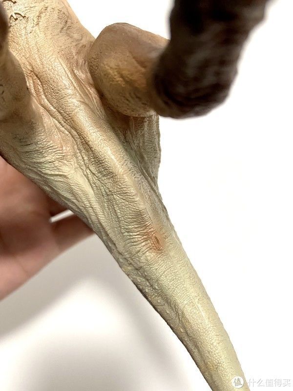 赵闯|恐龙模型 篇一:除了没有可动,其他基本完美——PNSO副栉龙把玩分享