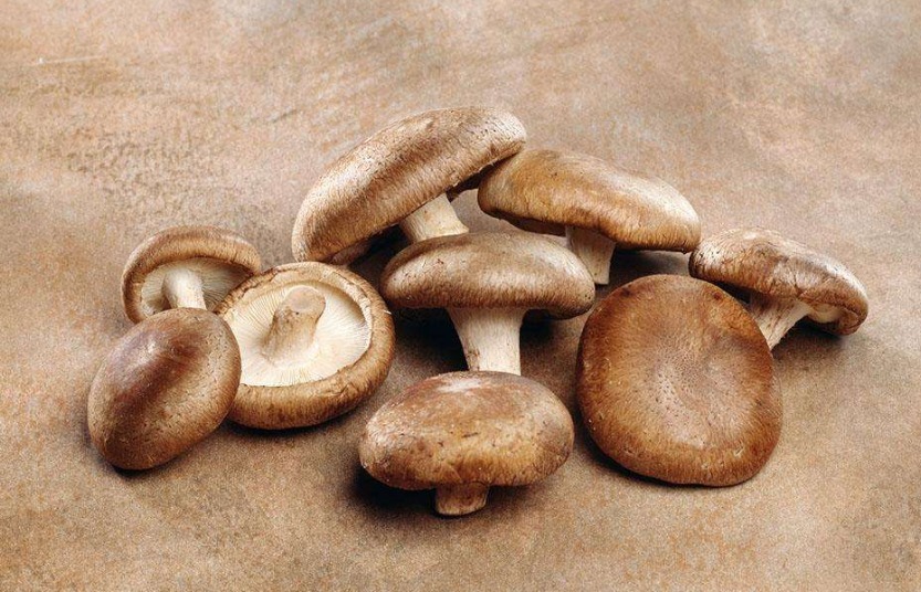 维生素d|香菇不能与此物一起食用，却有很多人还不清楚，看完告诉身边人