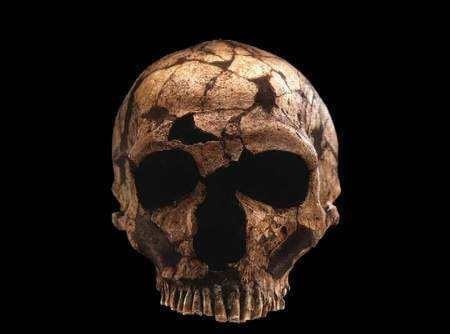 玄奘法师|唐僧的结局如何?尸骨惨遭人盗挖,竟被分成3份,供奉在3个国家