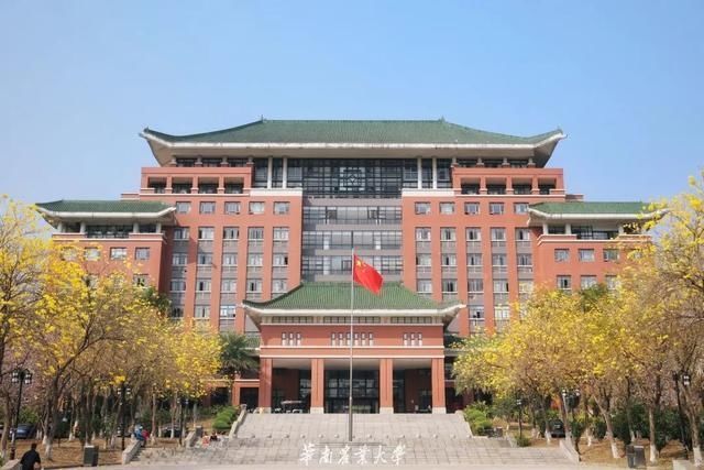 好家伙，这是什么偶像剧大学啊……