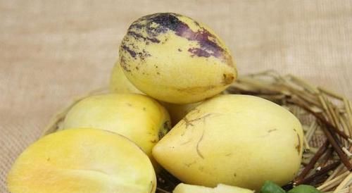 女性養生，推薦常吃幾種食物，延緩衰老，養護血管，增強體質