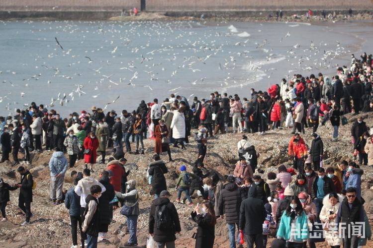 人潮鸥海入画来|显微镜 |人潮鸥海入画来\＂,\＂i12\＂:\＂显微镜