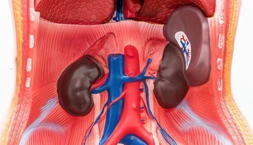 食物|6岁男童不吃不喝,积食入院,儿科医生再疼孩子也别给他吃3物