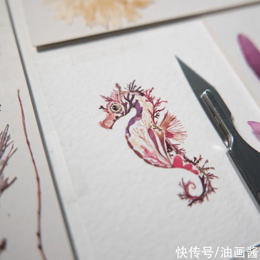 植物$她画画的材料是花瓣,工具是把刀,直接用刀刻出画