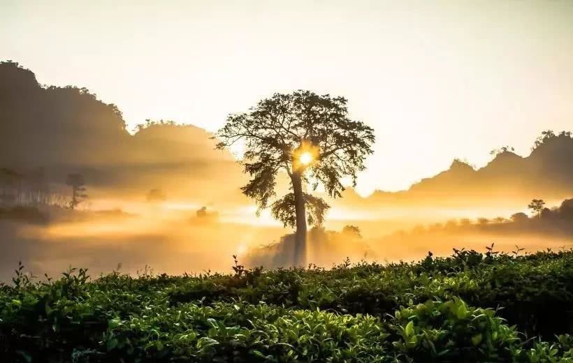 家训|曾国藩:话不说死,事不做绝,情不断尽!曾国藩家训