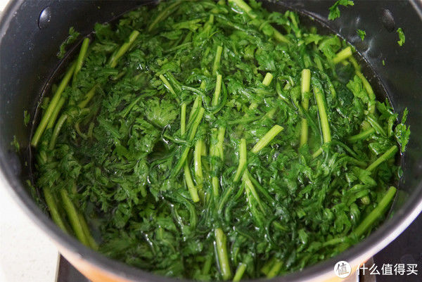 爽脆|日常三餐 篇五十二：入秋了，吃茼蒿正是好时候，教你简单做法，爽脆清香家人都爱吃