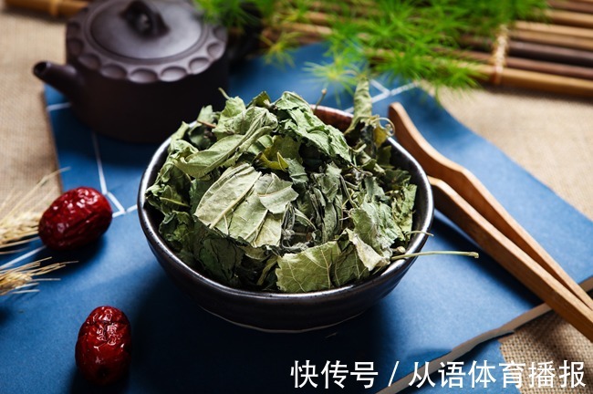 神农本草经|桑叶是个宝，霜打的桑叶为神仙草！如何吃，功效最佳？