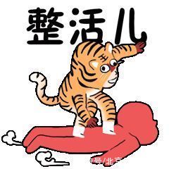 代表团|他们是谁？猜对12个，算你厉害