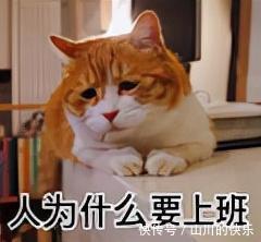 |网友总结:坚持上班的15个理由,搞笑又扎心,你中招了吗?