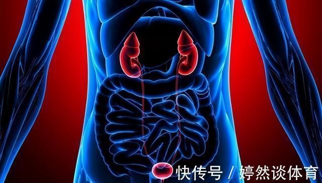 中老年人|60岁以上的老年人要想长寿，应该补充哪些营养？推荐你这4种