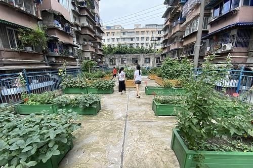 住宅|楼梯房和电梯房哪个更值钱住宅“新标准”出台，答案出乎意料