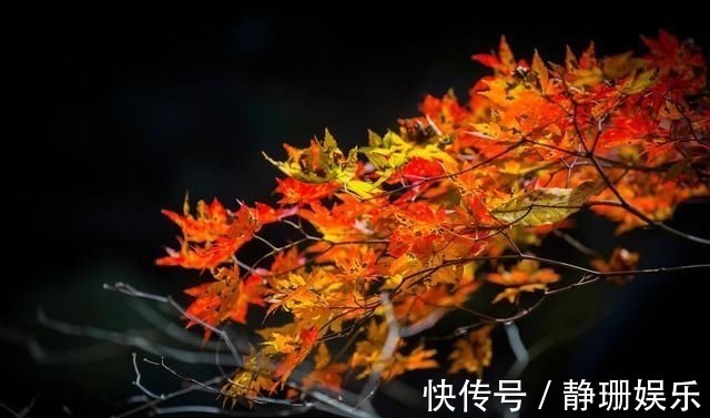 玉纤$枫叶题诗14首手拈红叶细思寻,何故蓝情断信音