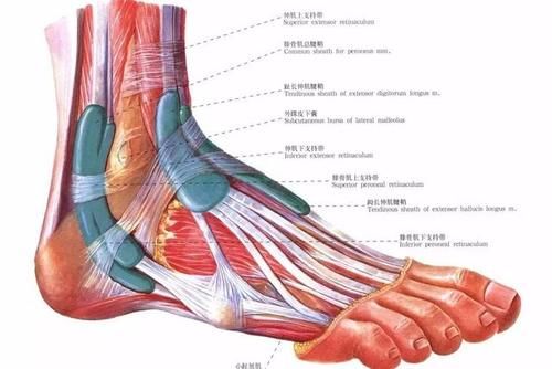 健身|每天能够健走60分钟,并且可以“坚持2个月”,会发生什么变化