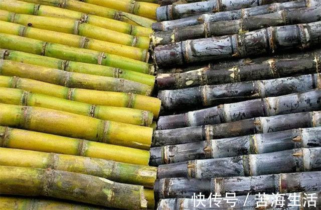 寄生虫|专家忠告别再吃此3种食物,寄生虫特别多,还容易得癌症!