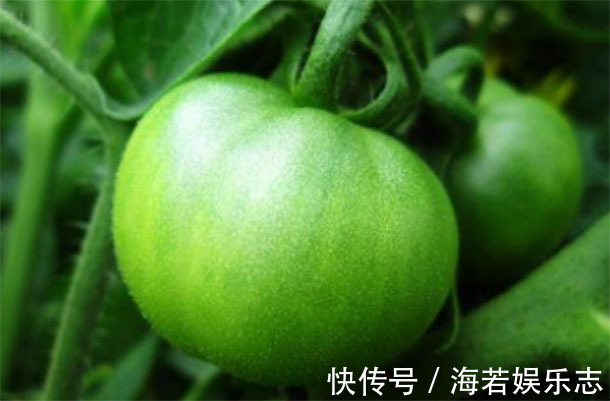 医生|比“敌敌畏”还毒的4种菜，医生从来不吃，你还当“美食”天天买