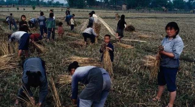 书摊&80年代老照片,最让人怀念的年代,没有手机、网络,人们依然开心