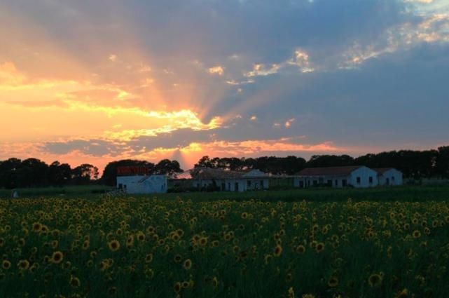 乐游原#李商隐的这首诗,全文近似口语,读后却发人深思