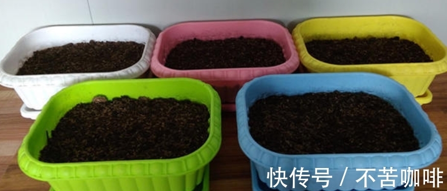 天冷抓紧时间赶制这3样养花肥，正好臭味小，方便来年开春用