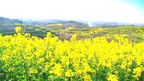 河南这个景区名字土得掉渣，风景却如同仙境，而且门票还0元