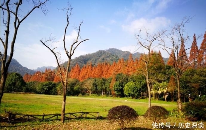  拿走|推荐！青城山深度游攻略拿走不谢！